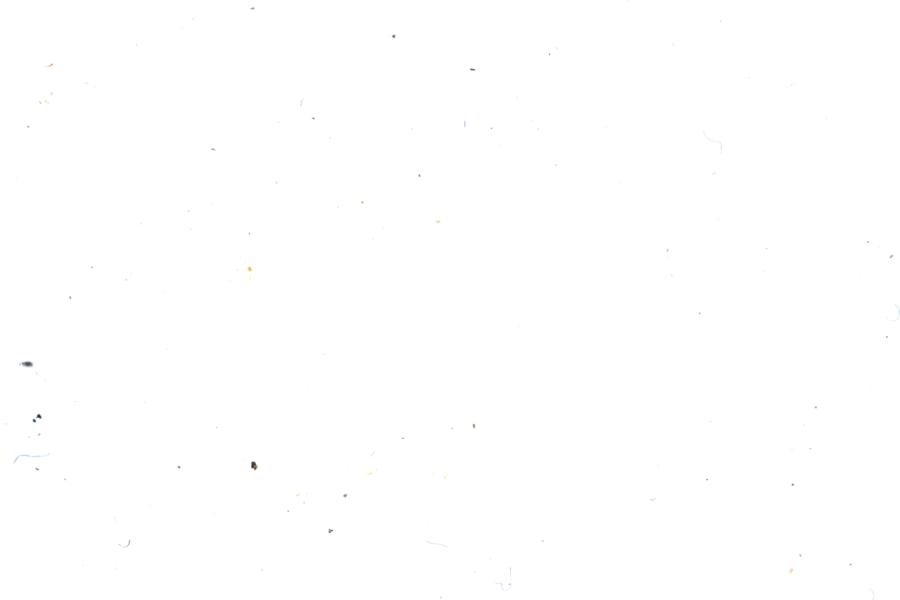Image 30